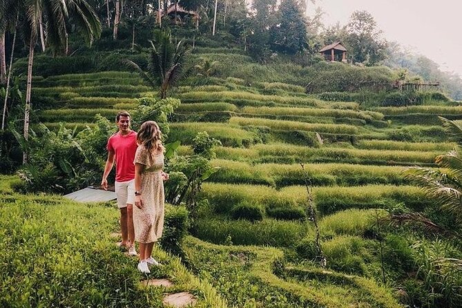 East of Bali Tour with Lempuyang Temple, Waterfall, Tirta gangga - Price and What’s Actually Included (So You Can Judge Value)