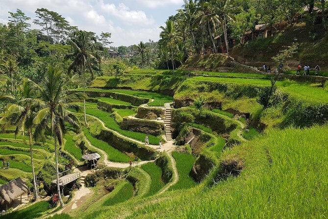 East of Bali Tour with Lempuyang Temple, Waterfall, Tirta gangga - Should You Book This East Bali Tour?