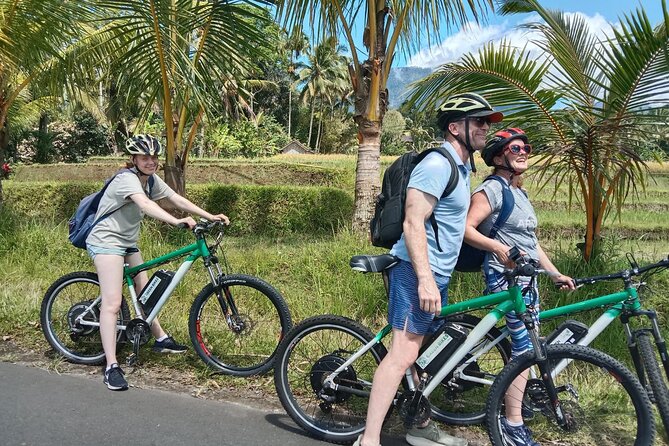 Electric bicycle tour in Jatiluwih UNESCO site - Key takeaways before you go