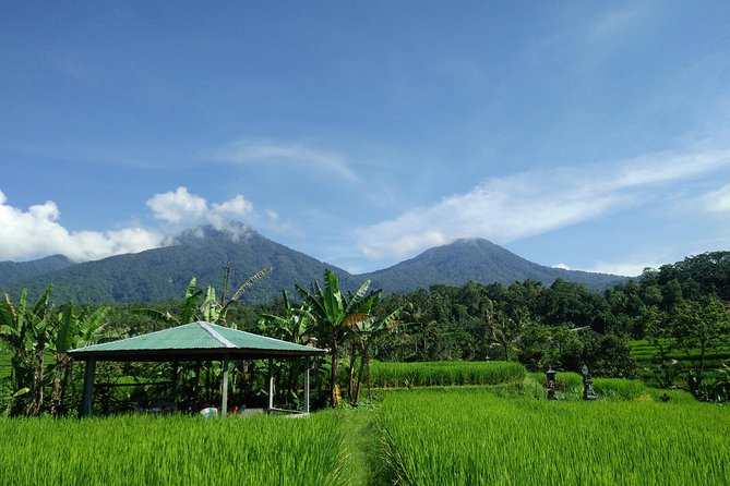 Electric bicycle tour in Jatiluwih UNESCO site - Where the views come from: Jatiluwih’s rice terraces (and why you’ll care)