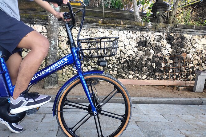 Electric bicycle tour in quaint South Ubud - Electric bikes south of Ubud: why the terrain feels friendly