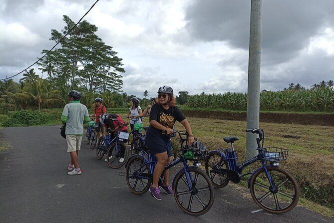 Electric bicycle tour in quaint South Ubud - UNESCO rice terraces and Subak irrigation: what to notice when you pause