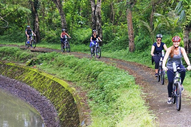 Electric bicycle tour in quaint South Ubud - Mambal start: rice, chili plants, papaya trees, and quiet roads