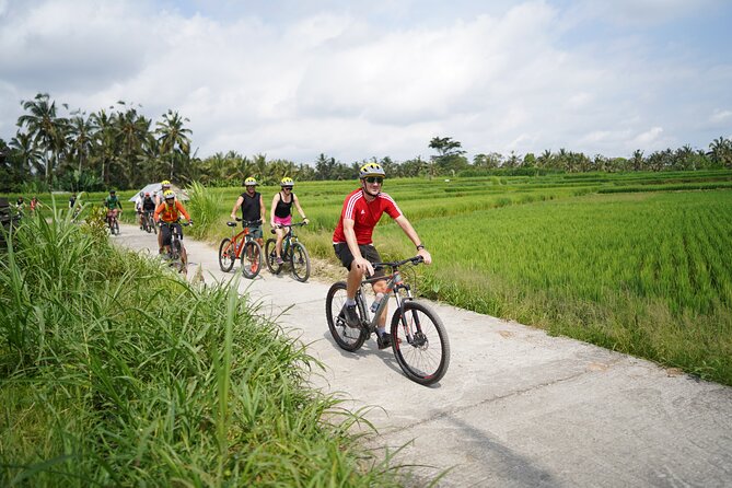 Electric Bike and Swing Package - Key highlights to look forward to