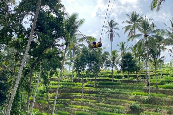Electric Bike and Swing Package - The Abuan Kintamani ride: bikes, route briefing, and first big scenery payoff