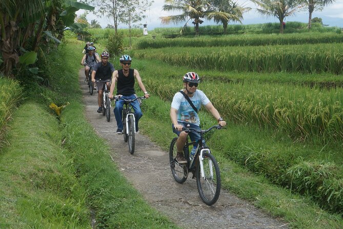 Electric Bike and Swing Package - Taro village stop: extended-family life, palm gardens, and local coffee