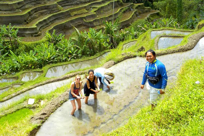 Electric Cycling Tour of Ubud with Free Hotel Transfer and Lunch - Stop 1 at the eBikes Bali office: safety first, then go