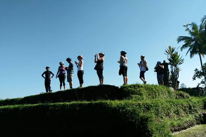 Electric Cycling Tour of Ubud with Free Hotel Transfer and Lunch - Stop 2: Tegalalang Rice Terrace and the photo timing