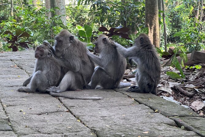 Exclusive Ubud Experience: Nature, Culture & Adventure in One Day - Tegallalang Rice Terraces: Walking Time Plus Jungle Swing Photos