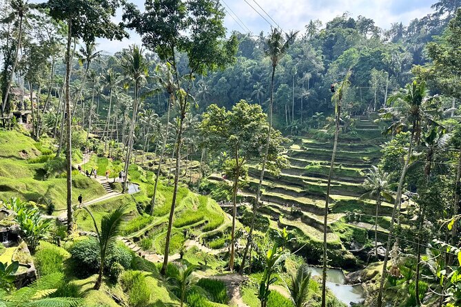 Exclusive Ubud Experience: Nature, Culture & Adventure in One Day - Lunch at Warung Dewa Malen: A Built-In Fuel Stop