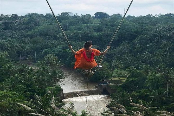 Experience Full Day to Bali Swing Temple and Monkey Forest - Key Things I’d Bet You’ll Care About