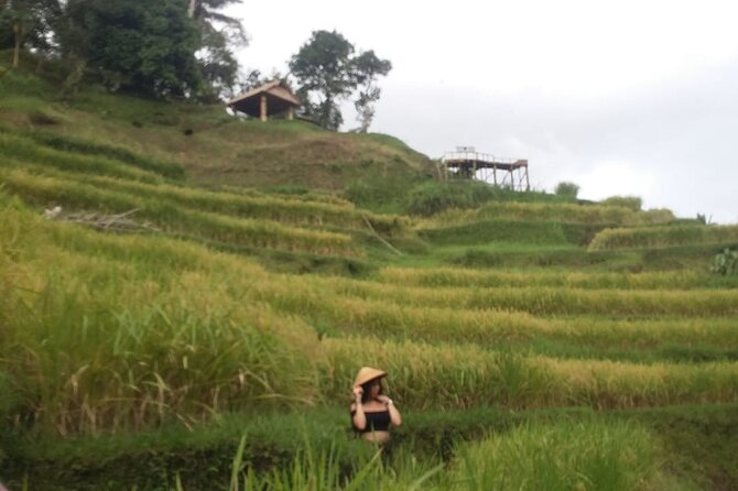 Experience Full Day to Bali Swing Temple and Monkey Forest - Batuan Temple: A 10th-Century Stop Worth Slowing Down For