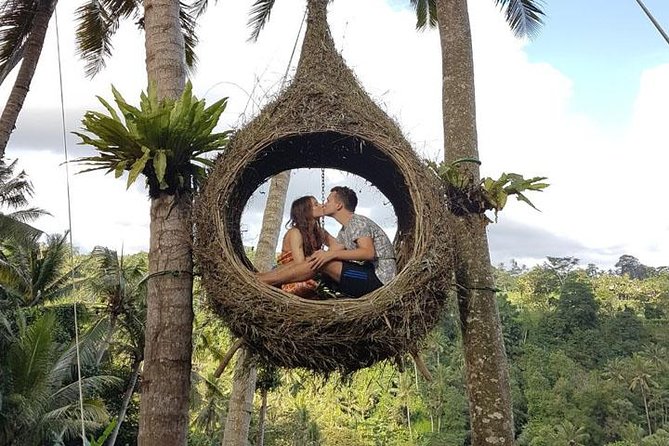 Experience Full Day to Bali Swing Temple and Monkey Forest - Picheaven Bali Swing: Heights, Safety Briefing, and Photo Strategy