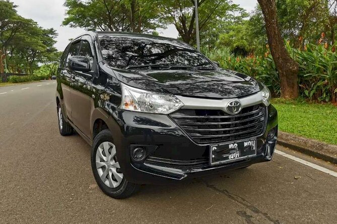 Experience The Real Bali, With Your Own Bali Private Car And Driver - What you’re really buying: freedom with a local in the driver seat