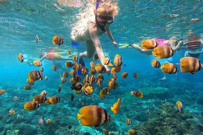 Explore 4 iconic snorkeling spots of Manta Bay in Nusa Penida - Key highlights to know before you go