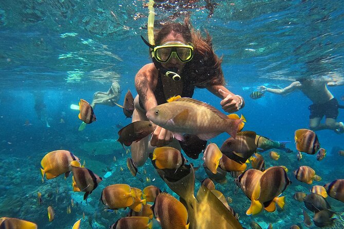 Explore 4 iconic snorkeling spots of Manta Bay in Nusa Penida - Stop 2: flying fish moments and staying ready to film