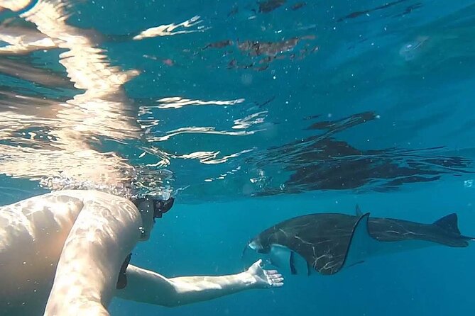 Explore 4 iconic snorkeling spots of Manta Bay in Nusa Penida - Stop 3: coral reefs on the seabed and turtle sightings