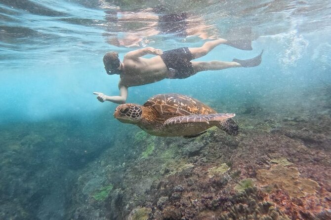 Explore 4 iconic snorkeling spots of Manta Bay in Nusa Penida - Stop 4 (Wall Bay): blood-red coral, deep walls, and lots of fish
