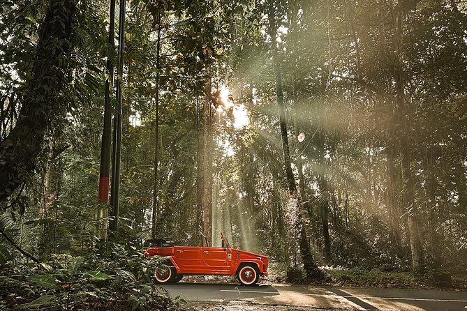 Explore Bali's Hidden Gems In a Classic Vw Convertible - Tirta Empul Temple: holy spring water, sarong rules, and pace
