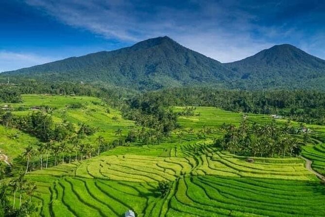 Explore Munduk Customized 8 Hour Day Tour in North Bali - Munduk and North Bali in 8 Hours, Without Feeling Rushed