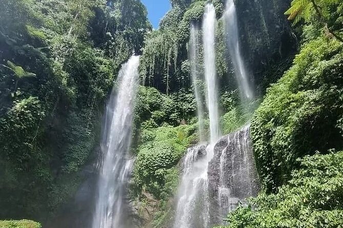 Explore Munduk Customized 8 Hour Day Tour in North Bali - Coffee Plantation Tasting: The Included Break You’ll Actually Appreciate