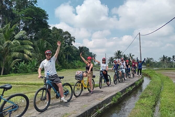 Explore Rice Fields and Hidden Villages with Ubud E-Bike Tour - Key highlights worth clocking