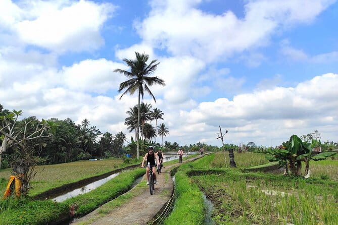 Explore Rice Fields and Hidden Villages with Ubud E-Bike Tour - Stop 3: Tegallalang Rice Terrace time, with admission handled