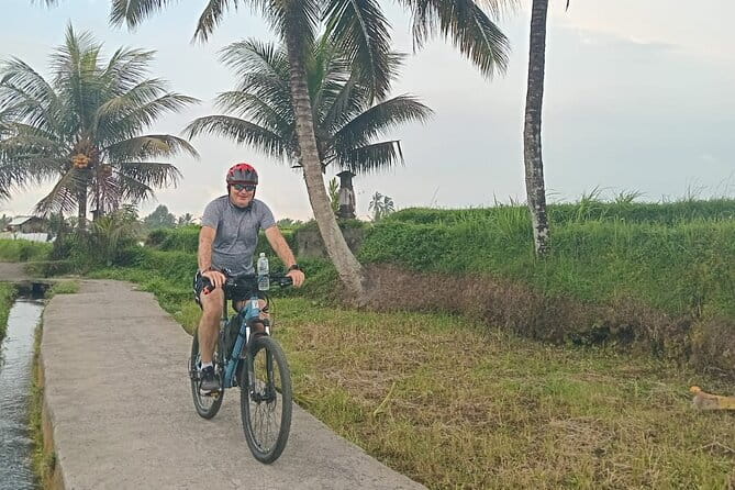 Explore Rice Fields and Hidden Villages with Ubud E-Bike Tour - Stop 4: Uma Pakel Agro Tourism coffee plantation (and budget for it)