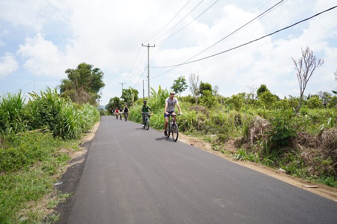 Explore Ubud with Electric Bike - Stop 2: Tegalalang rice terraces photo stop that stays quick