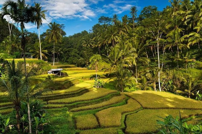 Exploring Bali in 3 Days: Discover Top Places in Bali - Key reasons this 3-day Bali route works