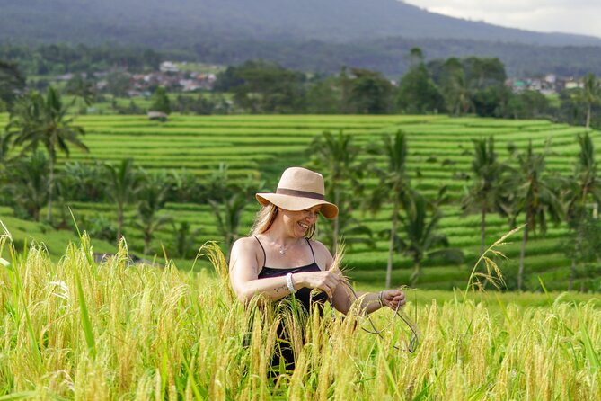 Exquisite UNESCO World Heritage Sites in Bali - Stop 3: Jatiluwih Green Land and the rice-terrace viewpoint time