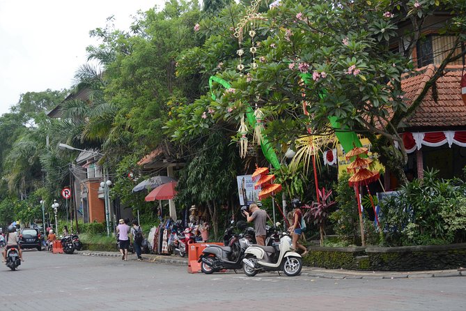 Famous Ubud villlage and Dance Tour with Rice Terrace And Waterfall Visit - Ubud Traditional Art Market + Ubud Palace