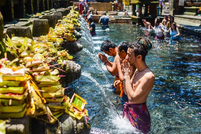 Fantastic Ubud Tour with Jungle Swing - Tegalalang Rice Terrace: the viewpoint stop that rewards timing