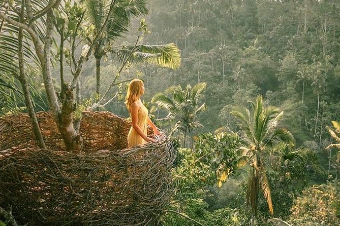 Fantastic Ubud Tour with Jungle Swing - What’s included, what’s not, and how to budget the real total