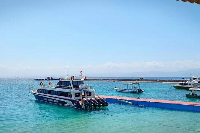 Fast Boat Transfer: Sanur to Nusa Penida by Penidago - Price and value: why $9.79 can be a smart move (or not)