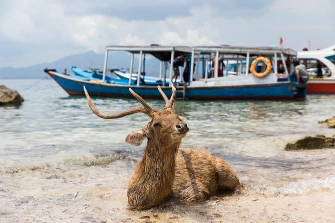 Fastboat to Gili Trawangan or Gili Air - Choosing Gili Trawangan or Gili Air: How Your “Island Time” Works