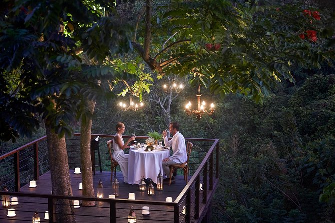 Forest Dining at Tree Deck overlooking lush valley of Ubud - Key things I’d plan around before you go