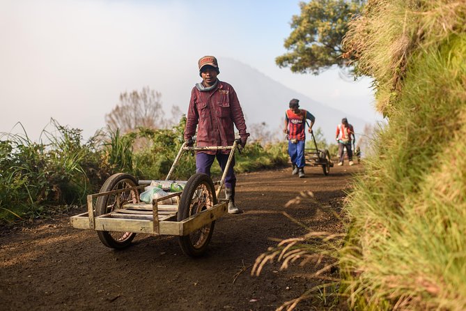 From Bali : Bromo & Kawah Ijen – 3-Day Adventure - Guides and Drivers: Small-Group Support That Actually Feels Personal