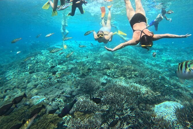 From Bali: Nusa Penida Full Day Tour and Snorkeling - Manta Bay: the shorter snorkel stop that still packs in marine life