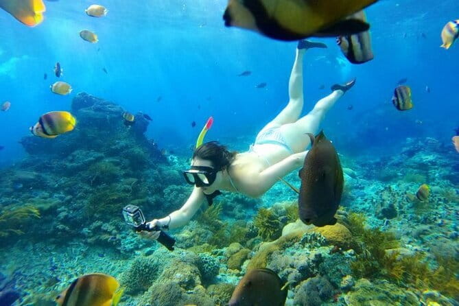 From Bali: Nusa Penida Snorkeling and Island Tour - The big idea: a fast Nusa Penida checklist