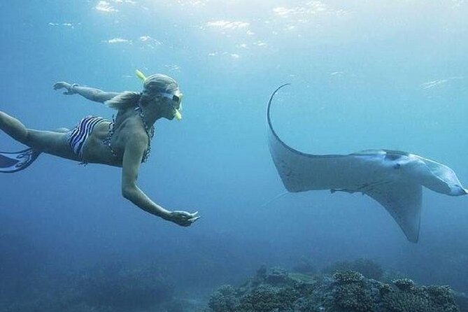 From Lembongan: Snorkeling Day Trip to Nusa Lembongan & nusa Penida island - Key Points You’ll Care About