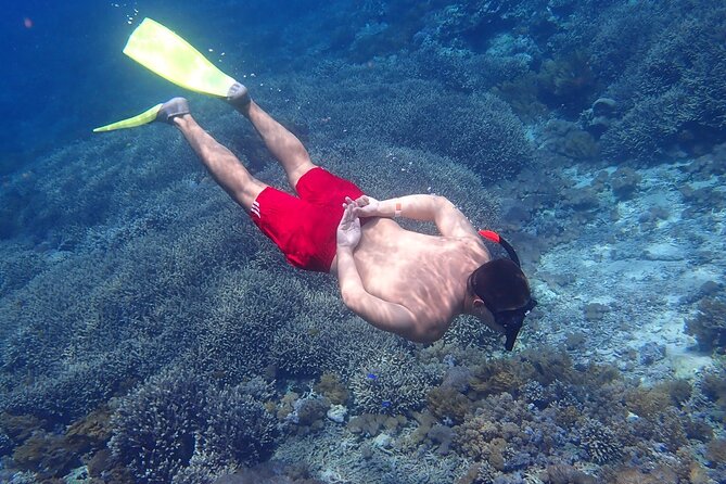 From Lembongan: Snorkeling Day Trip to Nusa Lembongan & nusa Penida island - Why This Snorkeling Day Trip Works From Lembongan