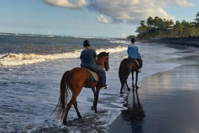 From Ubud 1 Hour Horse Riding at The Beach Experiences - Weight Limit and Fitness: Who Should Sign Up for a Smooth Ride