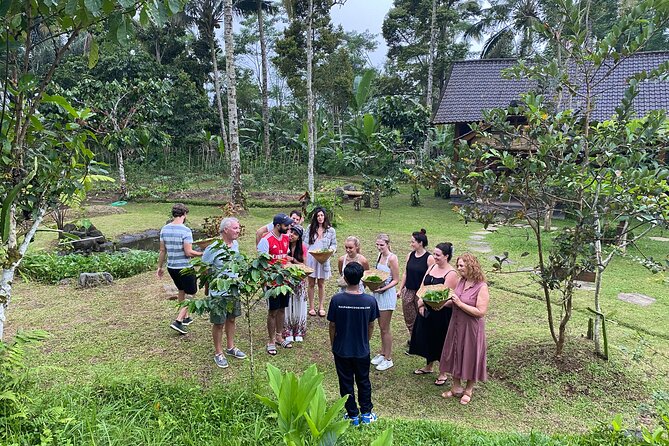 From Ubud: Authentic Bali Farm Cooking School & Organic Farm - Key highlights you’ll actually feel
