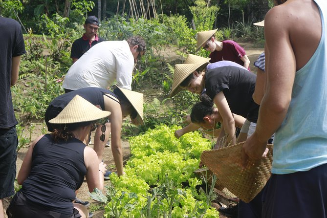 From Ubud: Authentic Bali Farm Cooking School & Organic Farm - Price and Value: Is $38 Worth It?
