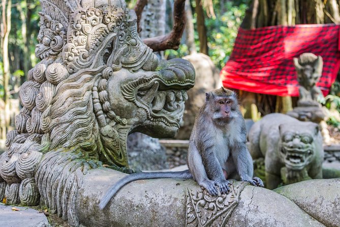 Full-Day Ayung River White Water Rafting and Ubud Tour - Tegenungan Waterfall at the end: a green reset before you head back
