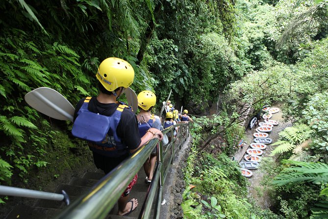 Full-Day Ayung River White Water Rafting and Ubud Tour - Price and value: why $45 can work better than it looks