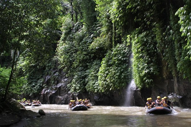 Full-Day Ayung River White Water Rafting and Ubud Tour - Who this tour suits best (and the one “maybe”)
