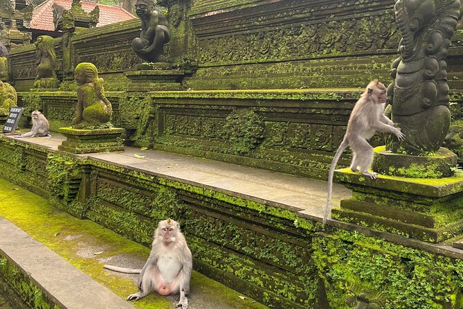 Full Day Best of Ubud Private Tour - D’Alas Warung Restaurant Stop: Meal Time Without Forcing a Set Lunch