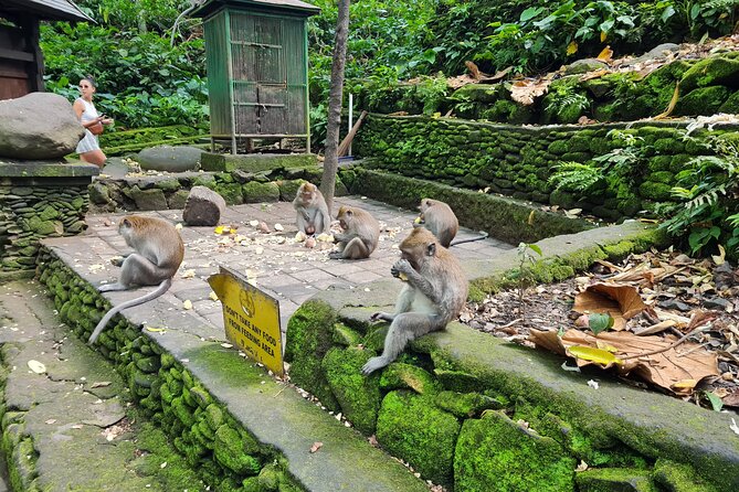 Full Day Best of Ubud Private Tour - The Day’s Route: A Smart Mix of Water, Ritual, Crafts, and Views
